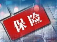 浮动收益型保险添新军！人身险产品转型纵深推进