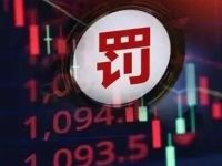 又一家投顾机构遭罚！年内行业罚单已追平去年全年