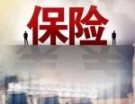 双轮驱动！上市寿险公司2025年业绩“大点兵”，保险与投资各贡献多大？